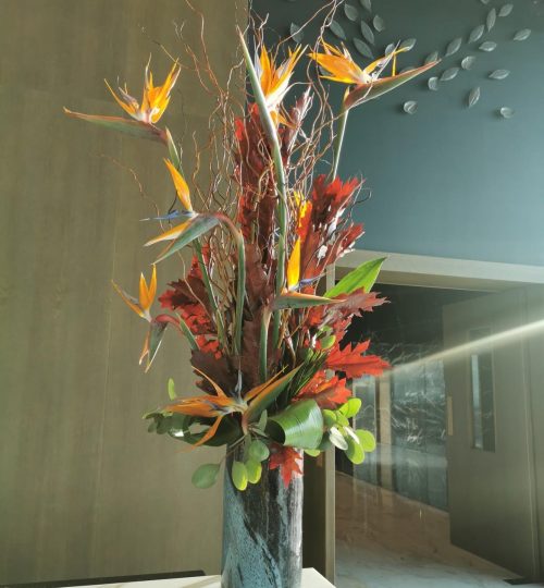 2962044091127668058_39442117763